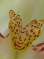 /album/fotogallerij/a2012-08-10-15-08-15-0027-jpg/